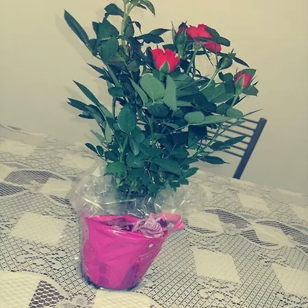 Casa de Férias Elena Vico Equense